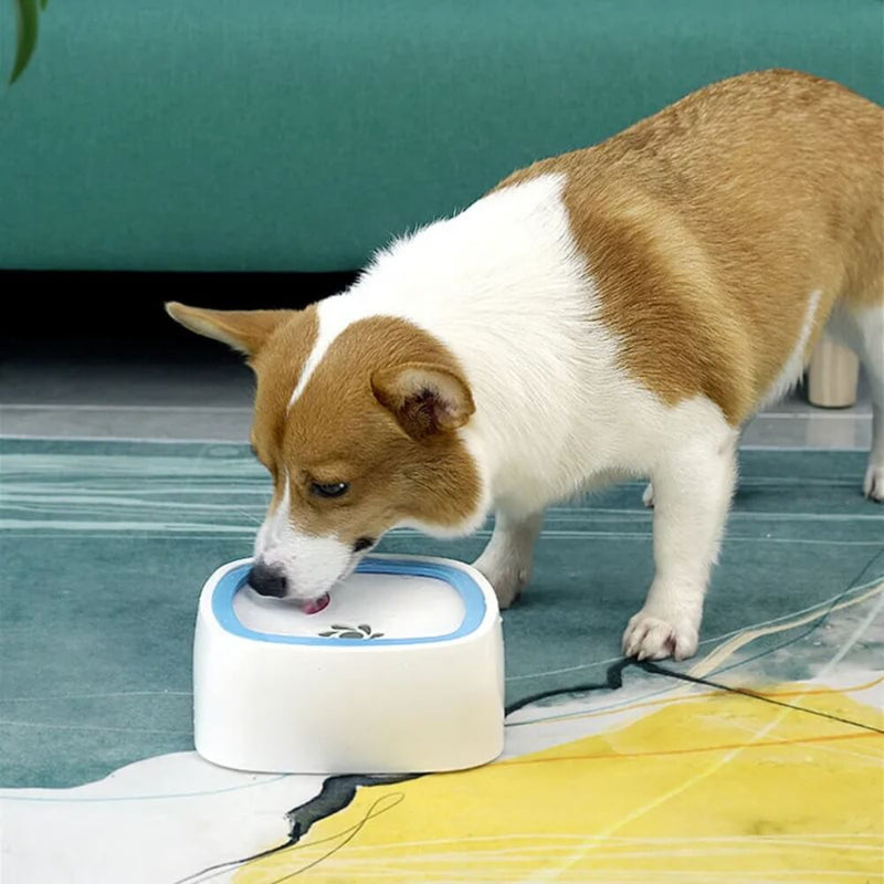 Floating Bowl for Drinking Water for Dogs and Cats (10)