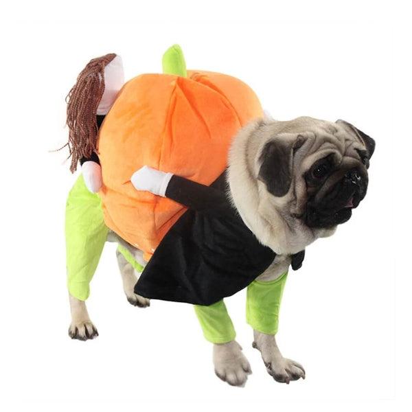 Funny Pumpkin Pet Cosplay Costume