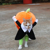 Funny Pumpkin Pet Cosplay Costume for Halloween