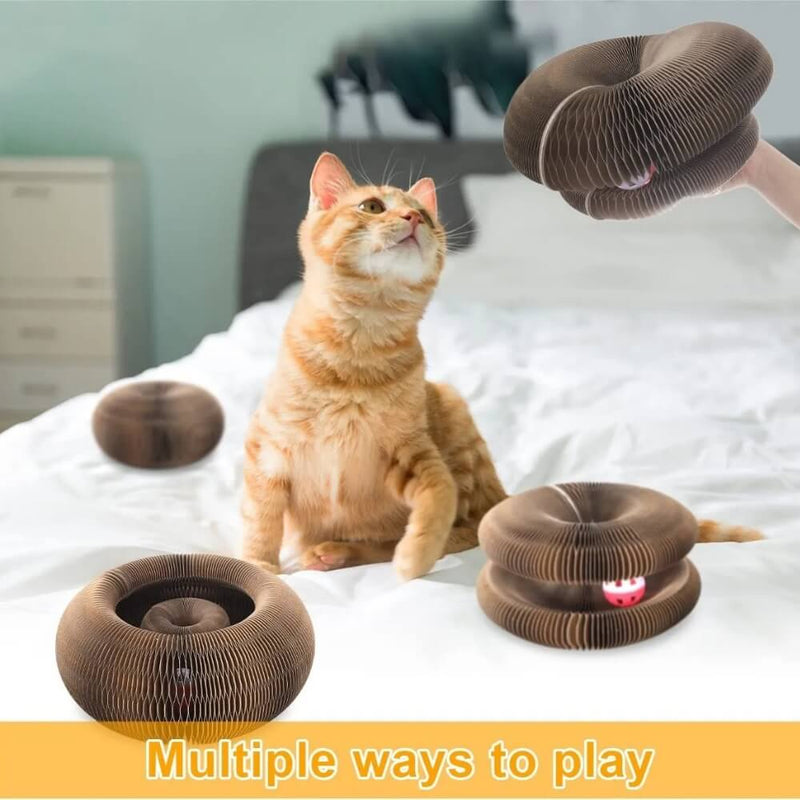 Magic Organ Cat Toy - Cat Ranger and Toy (3)