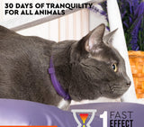 Calming collar for cats anti - anxiety.Stress relief collars help with pee. - Petscia store