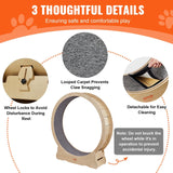 Cat Exercise Wheel - Petscia store