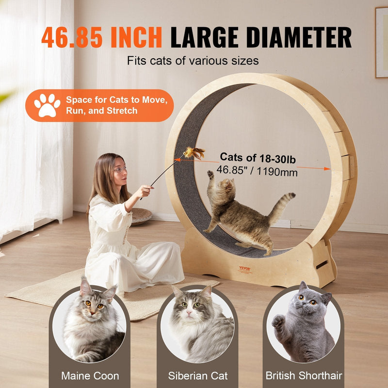 Cat Exercise Wheel - Petscia store