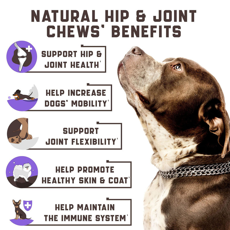 Pet Care Glucosamine Chews for Dogs