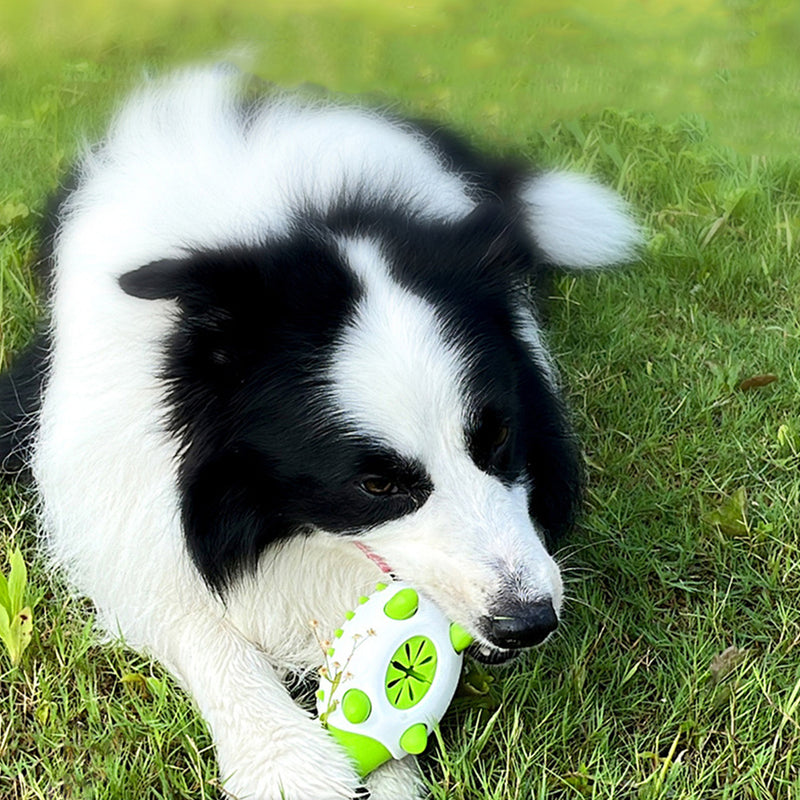 Toothbrush teether for dogs with snack holder