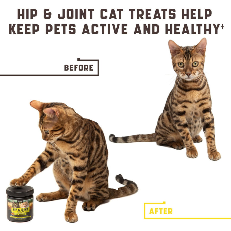 Natural Glucosamine for Cats