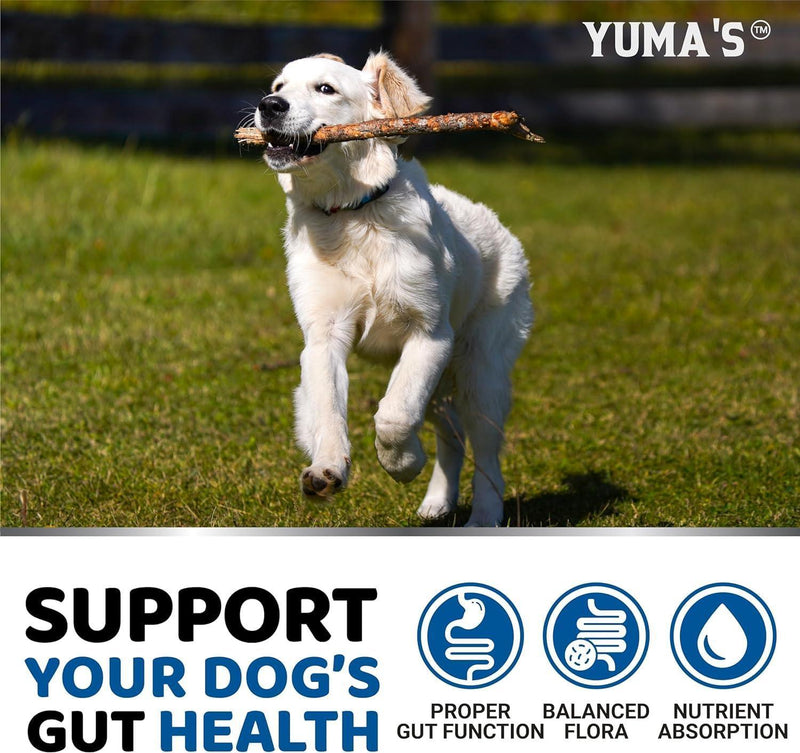 Yuma's Probiotics & Digestive Enzymes for Dogs