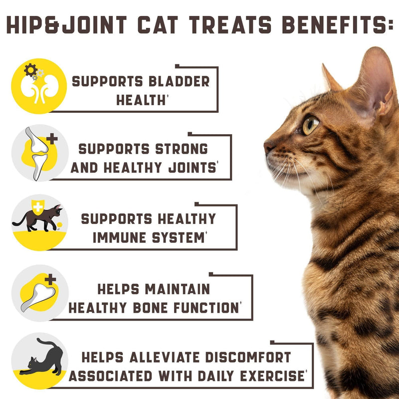 Natural Glucosamine for Cats