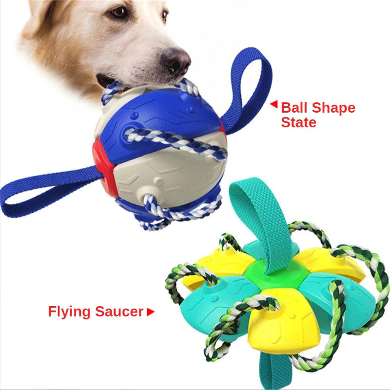 Interactive Pet Toy, Foldable Ball, Molar Toy.