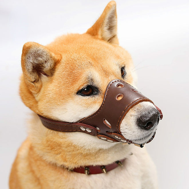 Anti-barking, anti-bite mouth mask