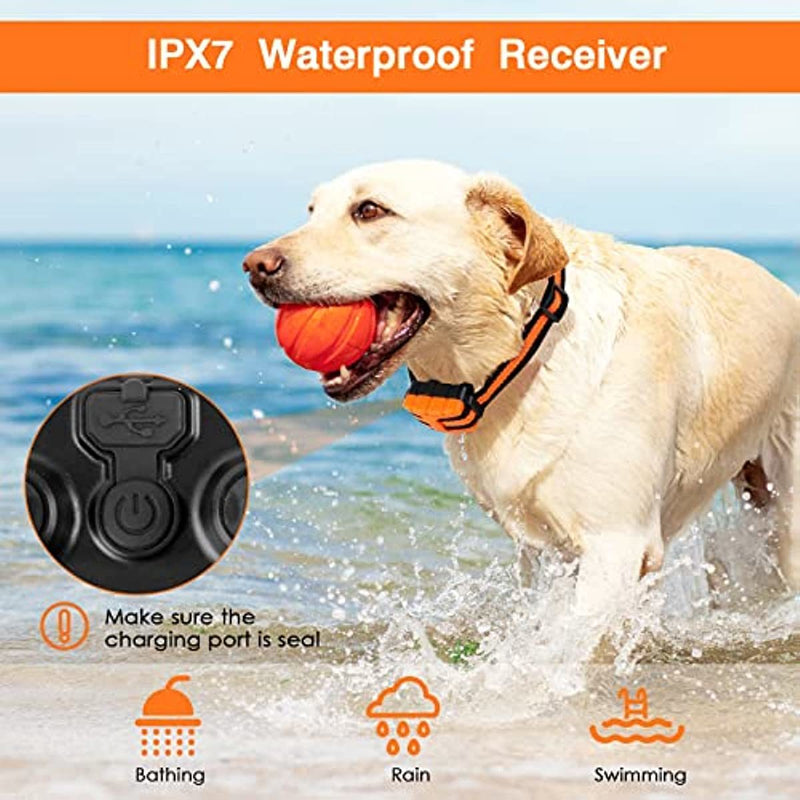 Waterproof shock collar for dog training