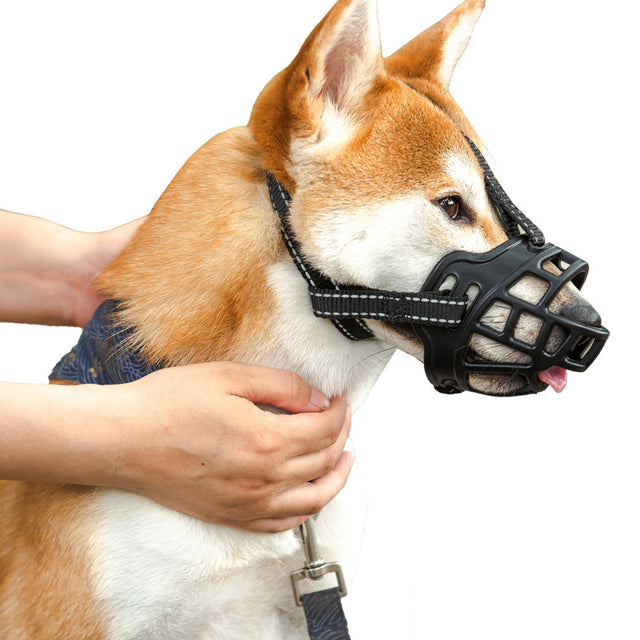 Dog muzzle for dogs, prevents chewing and biting; allows comfortable panting and drinking, adjustable