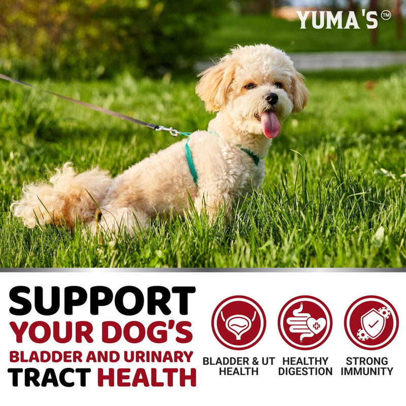 Yuma's Cranberry Chews for Dogs