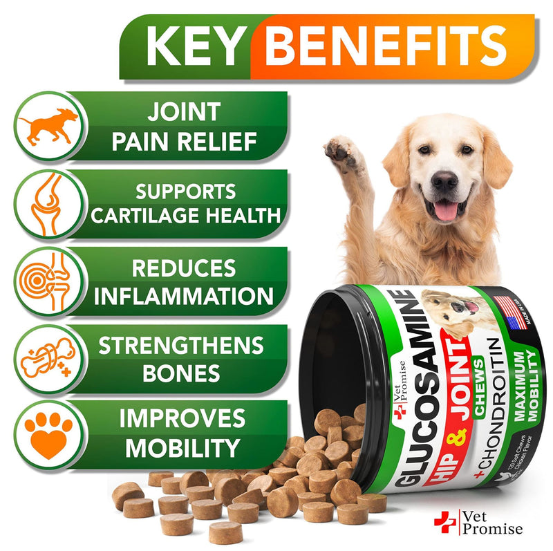 Glucosamine & Chondroitin Chews for Dogs