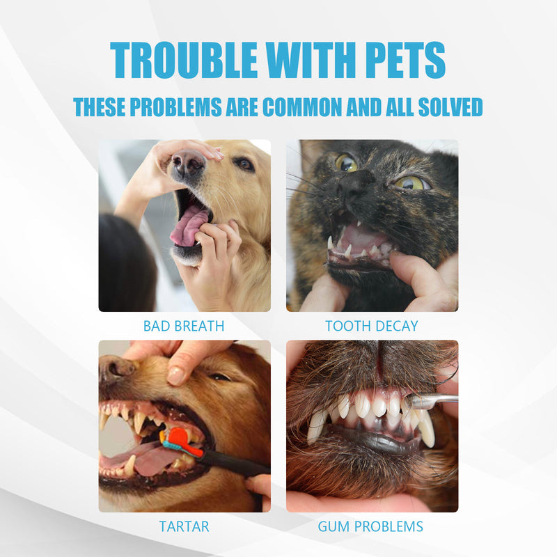 Pet Toothpaste for Dogs and Cats