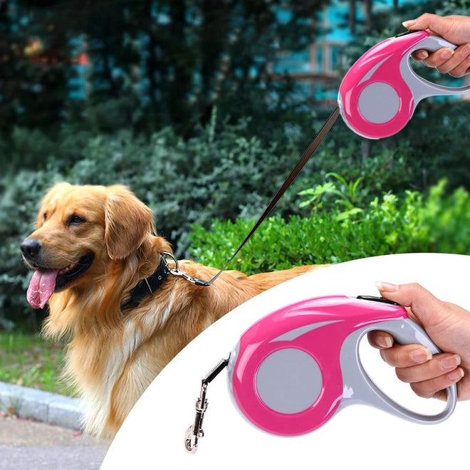 Portable telescopic collar for dogs