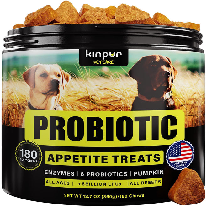 Probiotics for Dogs Support Gut Health