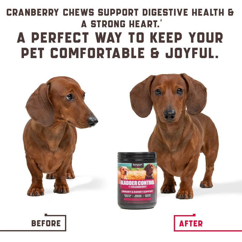 Cranberry Chews for Dogs