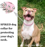 Dog Collar with Adjustable Microfiber Leather Spikes