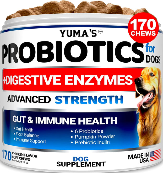 Probiotics for Dogs and Digestive Enzymes