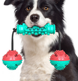 Pet Toothbrush Rubber Bones Teeth Cleaning